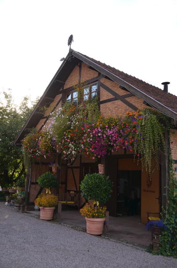 Landhotel Der Schafhof Amorbach Exterior photo